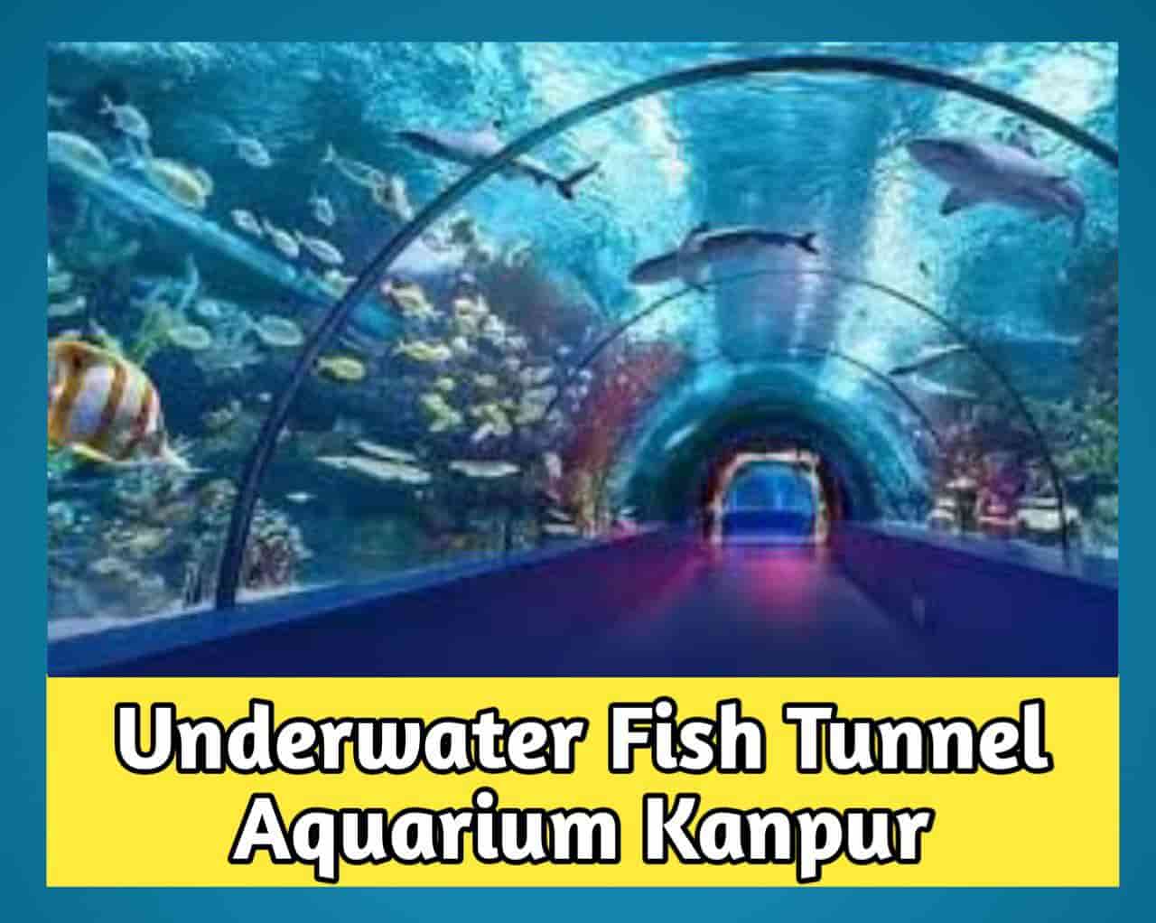 Underwater Fish Tunnel Aquarium Kanpur